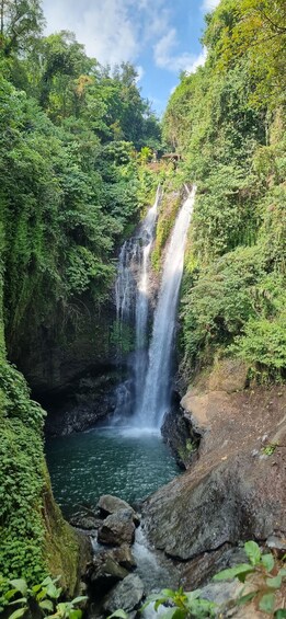 Picture 4 for Activity Bali: Aling-Aling, Gitgit Waterfall & Jatiluwih Rice Terrace 2