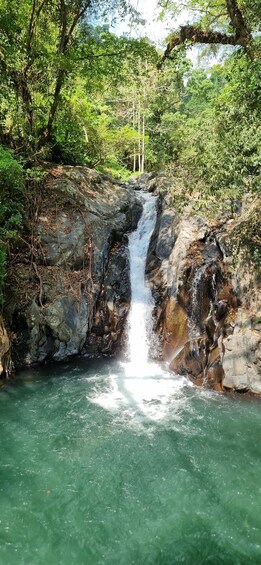 Picture 12 for Activity Bali: Aling-Aling, Gitgit Waterfall & Jatiluwih Rice Terrace 3