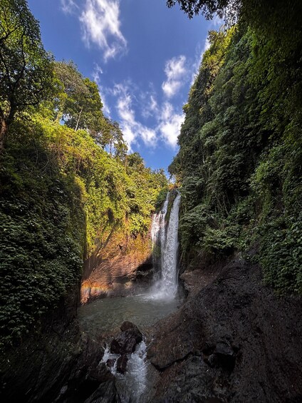 A waterfall surrounded by dense forest. 3