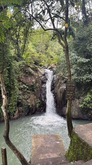 A waterfall in a forested area with a wooden viewing platform. 4
