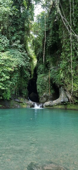 Picture 11 for Activity Bali: Aling-Aling, Gitgit Waterfall & Jatiluwih Rice Terrace 4