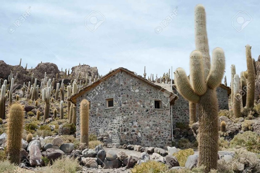 A stone house surrounded by cacti in a desert landscape. 4