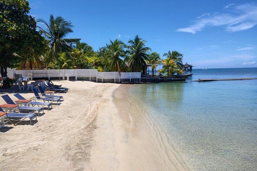 Una playa con sillas de descanso, palmeras y un muelle. 5