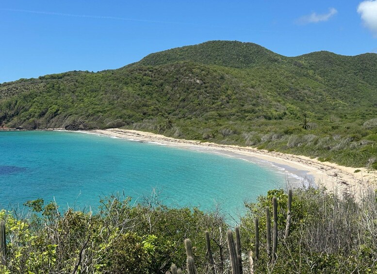 Antigua: Wilson Castaway – Only 4x4 to Rendezvous Bay 1