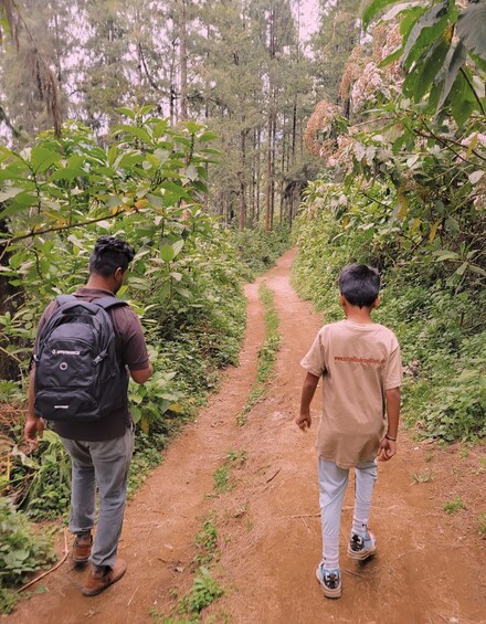 Picture 1 for Activity Arusha nature hike to Napuru waterfalls. 2