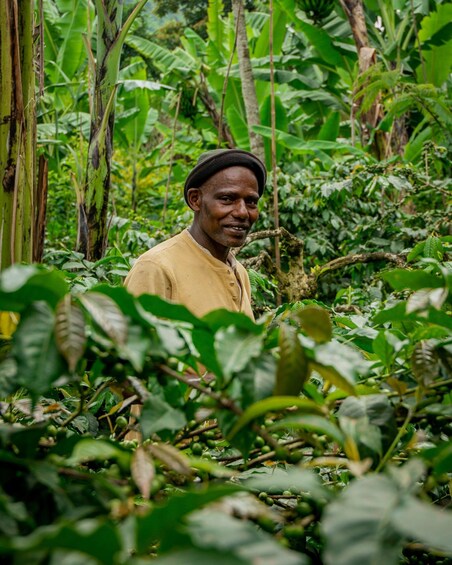 Picture 6 for Activity Arusha nature hike to Napuru waterfalls. 3