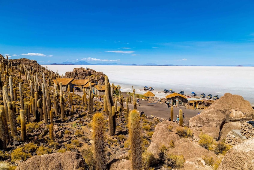 A desert landscape with cacti, a salt flat, and a small settlement with huts and vehicles. 5