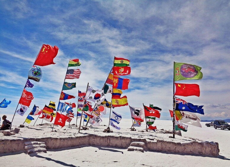 A collection of flags on a sandy beach with a clear sky. 5
