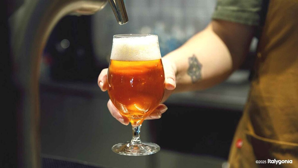 A person holding a glass of amber beer with a foamy head, being filled from a tap. 2