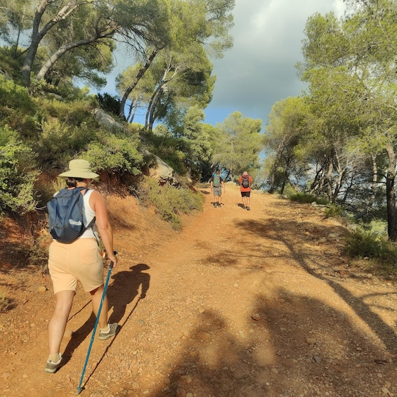 A hiker on a dirt trail surrounded by trees. 2