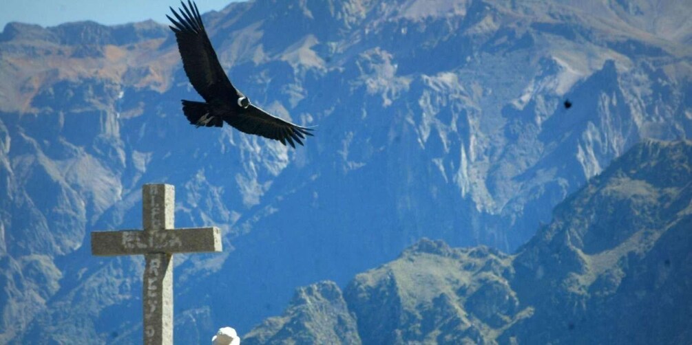 A cross with a bird flying in the background. 2