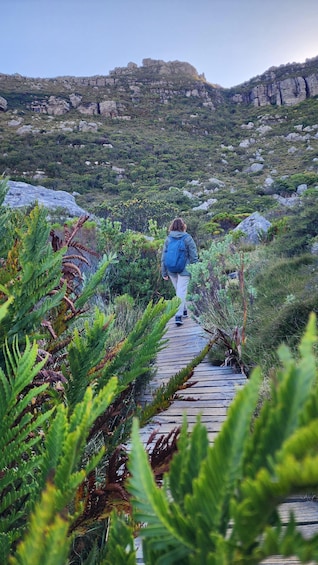 A person walking on a wooden boardwalk through a lush, green landscape with ferns and rocky outcrops. 3