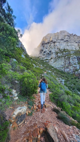 A hiker on a rocky trail surrounded by greenery and a mountain in the background. 2