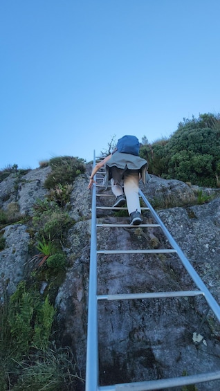 A person climbing a metal ladder on a rocky hillside with sparse vegetation. 5
