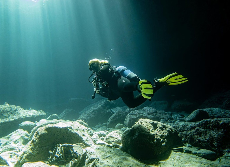 A diver with yellow fins and a black wetsuit underwater, surrounded by rocks and sunlight filtering through the water. 4