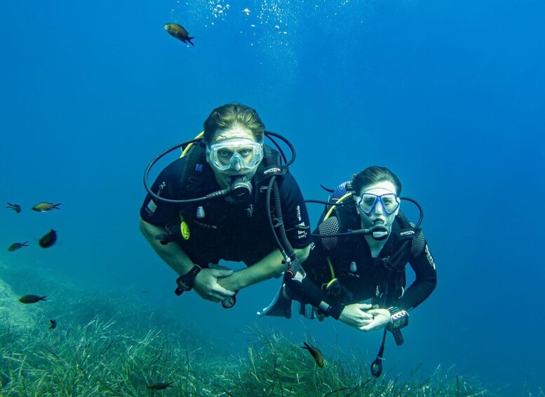 Two scuba divers underwater with fish swimming around them. 1
