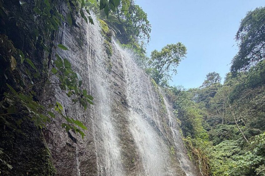 A waterfall cascading down a rocky cliff surrounded by dense green foliage. 2