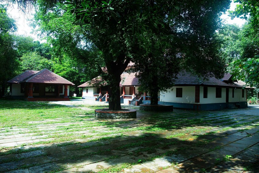 A courtyard with a large tree, a stone bench, and traditional buildings with tiled roofs. 2