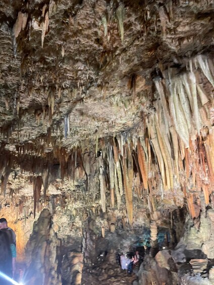 A cave with stalactites hanging from the ceiling and stalagmites rising from the ground. 4