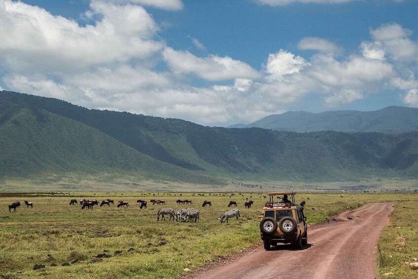 Picture 5 for Activity 3 Days Migration Trip in Serengeti and Ngorongoro 4