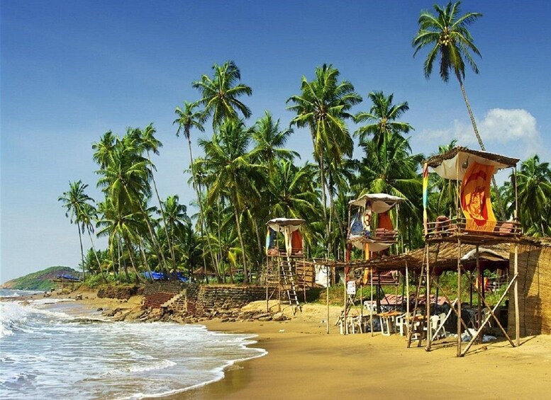 A beach with palm trees, wooden huts, and a sandy shore. 2