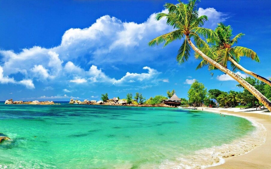 A tropical beach with clear turquoise waters, palm trees, and a thatched-roof hut. 3