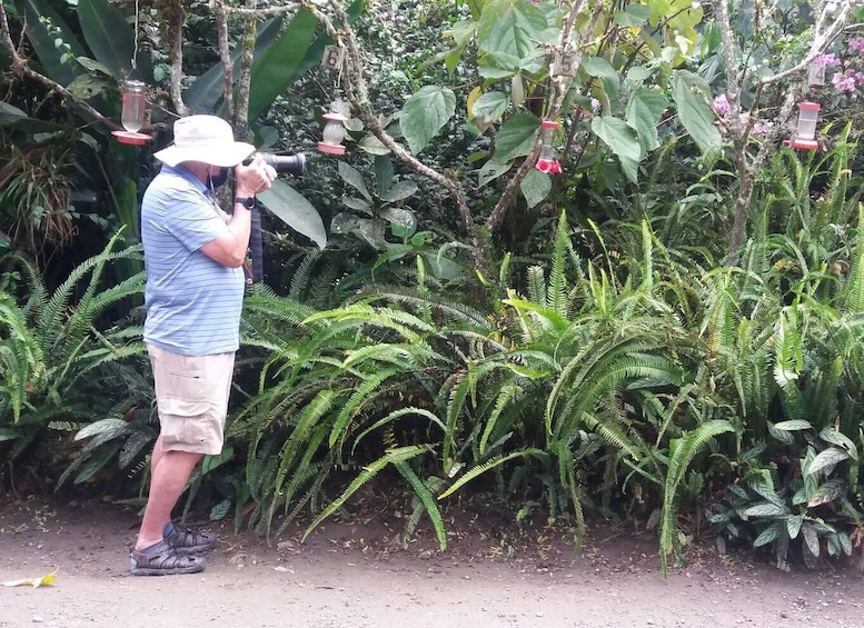 A person taking a photo with a camera, surrounded by lush greenery and ferns. 1