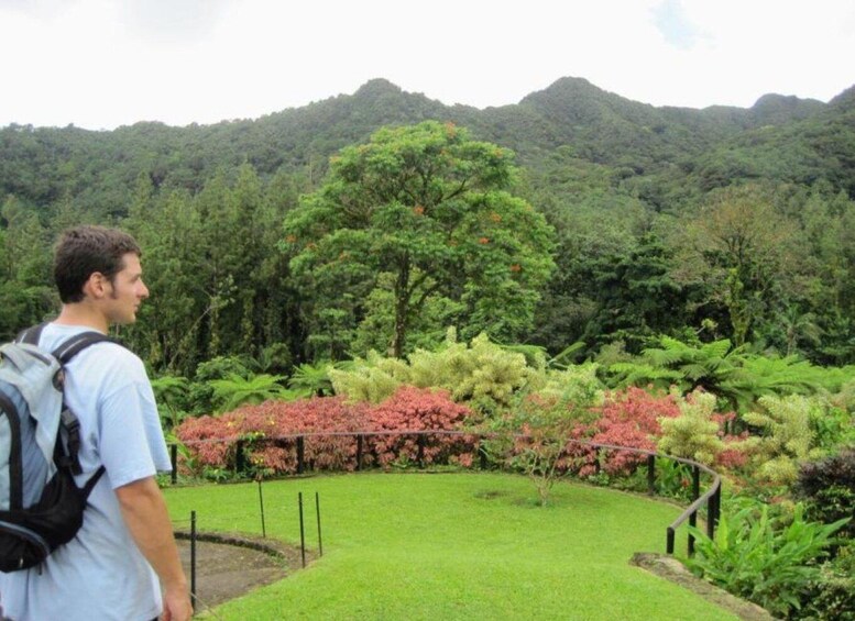 A man with a backpack standing in a garden with a mountain in the background. 3