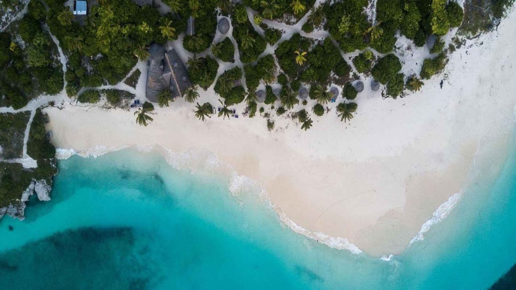 An aerial view of a beach with turquoise waters, white sand, and scattered palm trees. 3