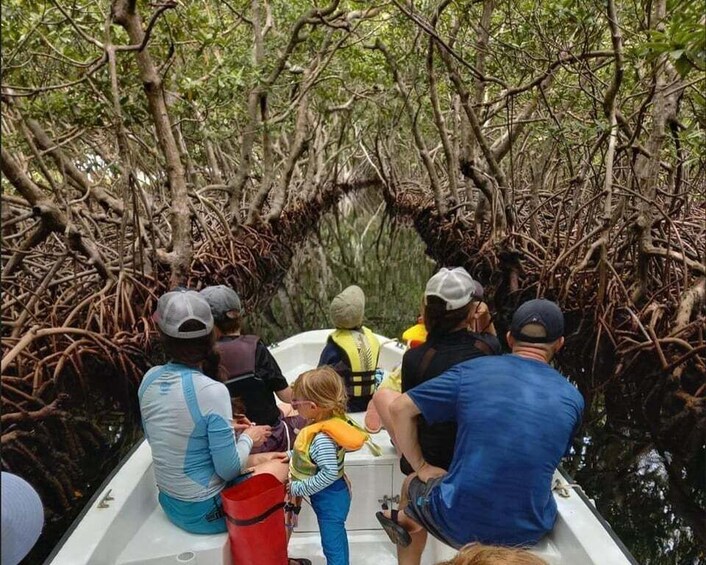 People on a boat in a mangrove area. 1