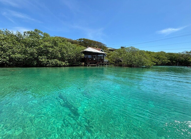 A house on stilts in clear turquoise water, surrounded by lush greenery. 2