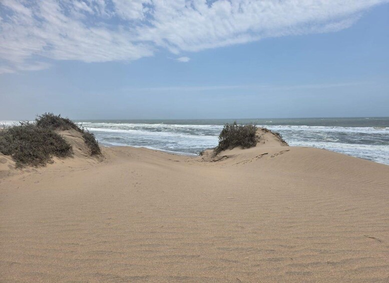 A sandy beach with dunes and ocean waves. 2