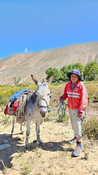 Picture 2 for Activity Salinas Grandes and Iruya: 3-Day Andean Adventure 2