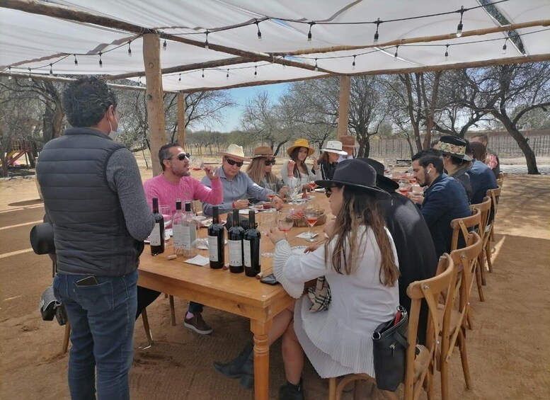 Picture 9 for Activity Private Wine Tour – Aguascalientes from Guadalajara 5