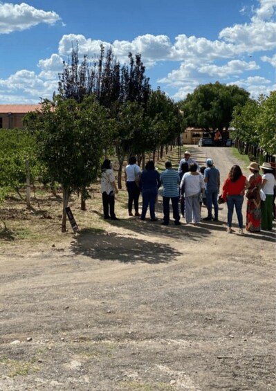 Picture 10 for Activity Private Wine Tour – Aguascalientes from Guadalajara 5