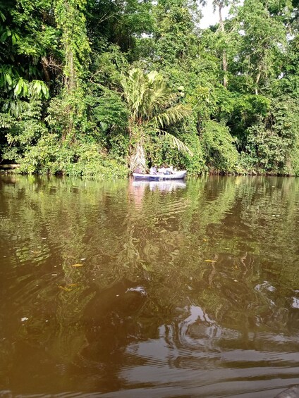 A boat with people on a river surrounded by dense greenery. 2
