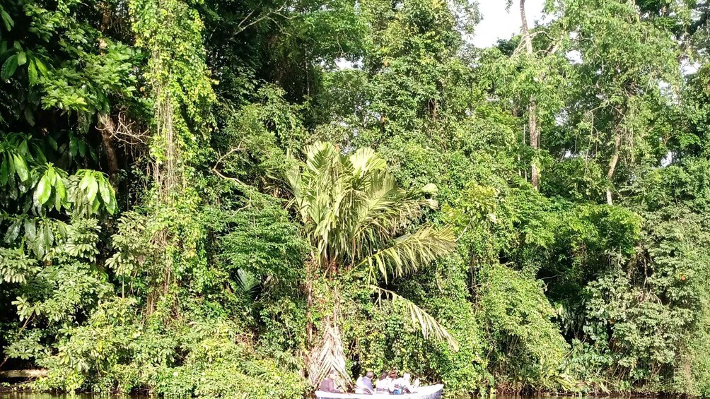 Picture 10 for Activity Canal Sightseeing Tour 2