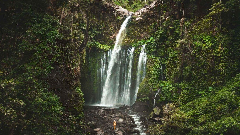A waterfall in a forested area with dense greenery and rocky terrain. 2
