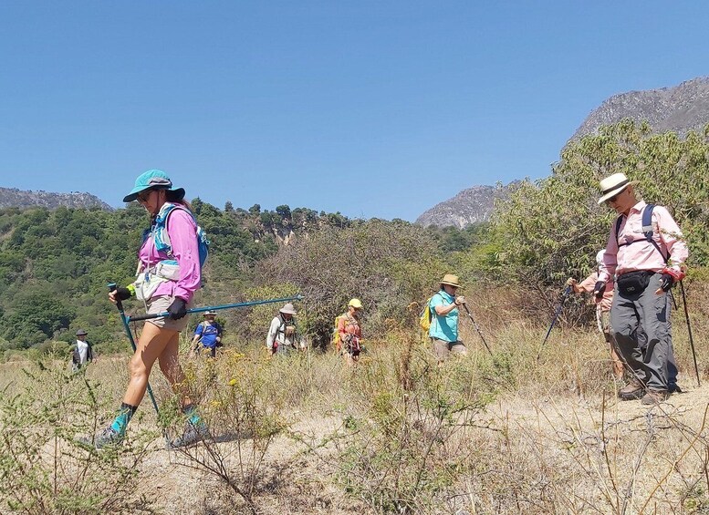 A group of hikers on a trail in a hilly, forested area. 2