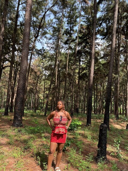 A person standing in a forest with tall pine trees. 4