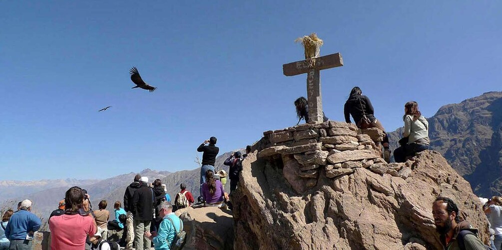 Hike inside the Colca Canyon 2 DAYS with meals in Arequipa 1