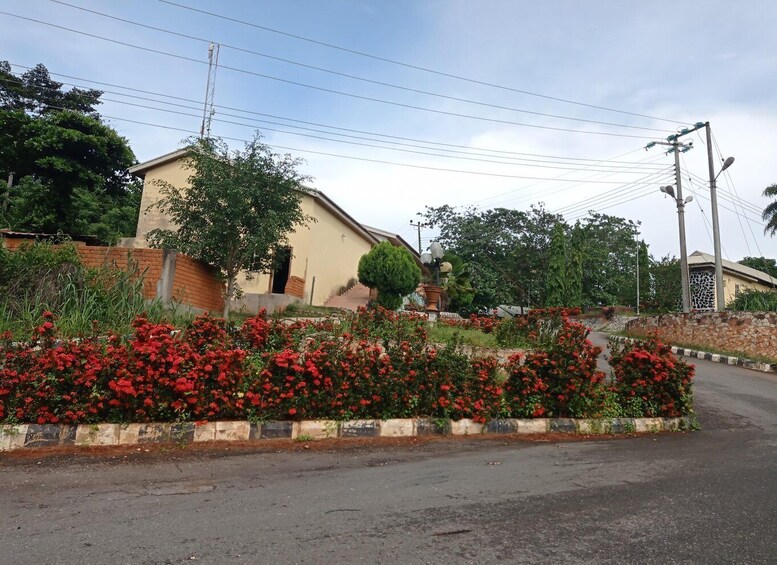 A residential area with a house, a garden with red flowers, and a street. 2