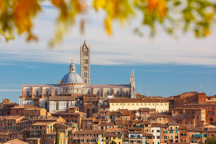 Florence: Pisa, Siena, & San Gimignano Day Trip with Lunch 1