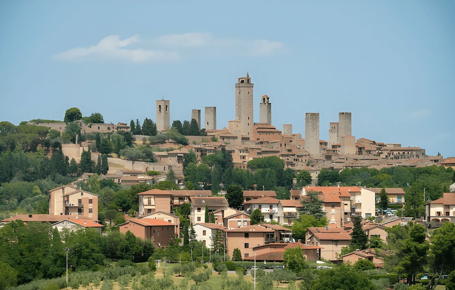 Picture 8 for Activity Florence: Pisa, Siena, & San Gimignano Day Trip with Lunch 2