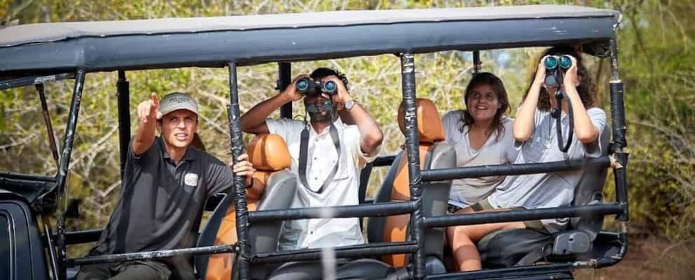 Yala National Park Jeep Safari: Leopards, Elephants & Wild 1