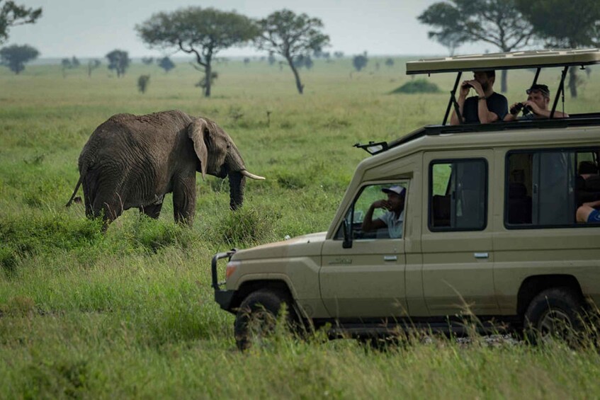 Picture 26 for Activity 9-Day Rwanda National Parks & Scenic Destinations 4