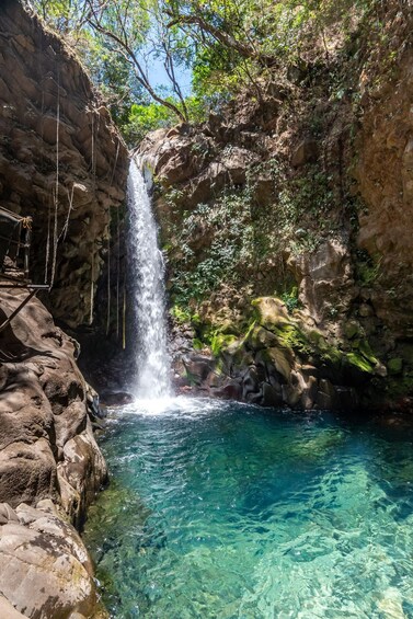 Picture 9 for Activity Combo: Lunch + Oropendola waterfall 4