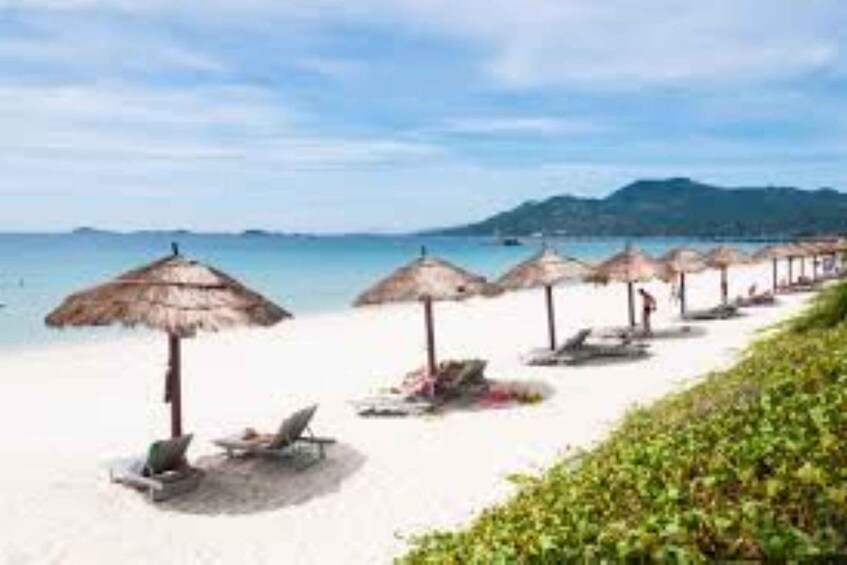 A beach with thatched umbrellas and lounge chairs. 5