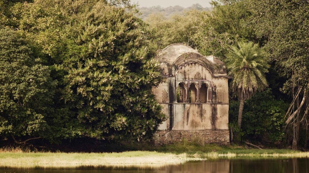 A weathered stone structure with arches, surrounded by dense foliage and a calm body of water. 2