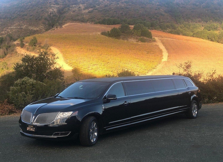 Napa Valley: Apex Limousine Transportation Tour 1
